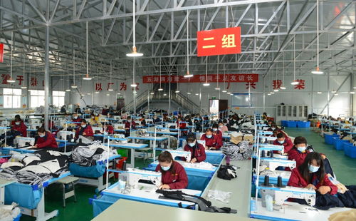 韓城 花椒鋪就致富路 51個貧困村脫貧出列 組圖