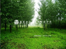 王院長帶隊(duì)赴河北平山縣生態(tài)莊園，開啟鄉(xiāng)村旅游規(guī)劃新篇章